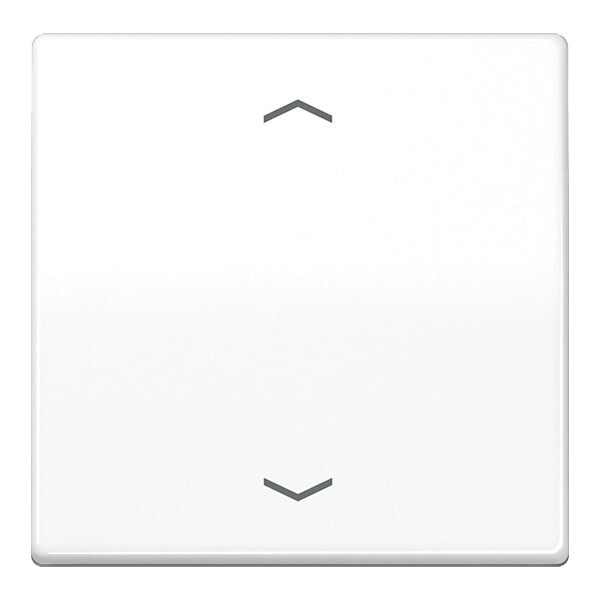 JUNG Wippe Symbole aws für Taster AS 591 P WW